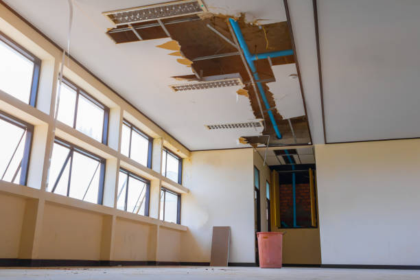 Best Basement water damage restoration  in Duchesne, UT