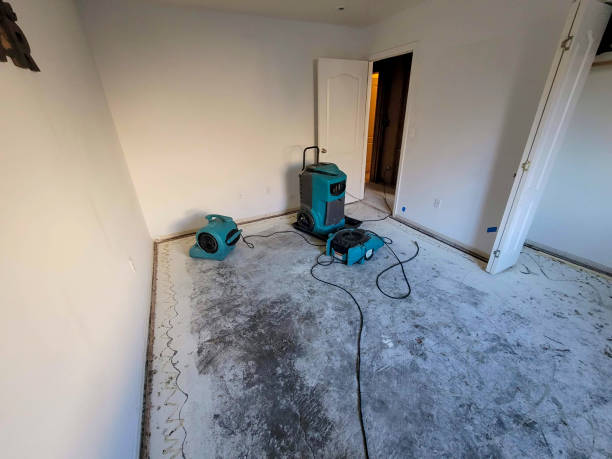 Best Emergency water damage restoration  in Duchesne, UT