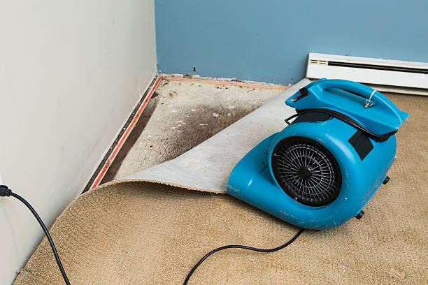 Best Fire Damage Restoration  in Duchesne, UT